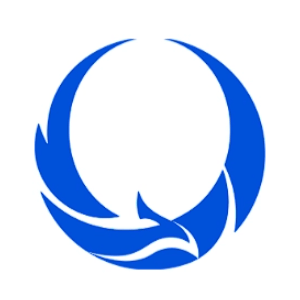 朱雀AI检测 icon